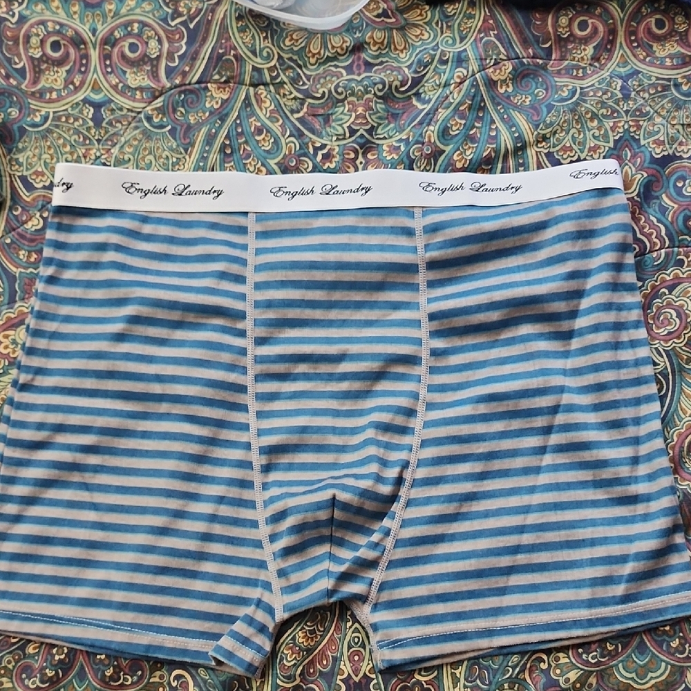 English Laundry Blue and White Striped Boxer Briefs